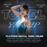 A Comprehensive Guide by Yowesjp on Casino Game Categories and How They Are Designed